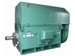 YRKK4003-4/315KWY系列6KV高压电机